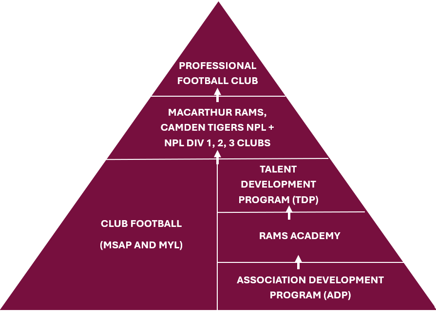 Player Pathway (2) Player Pathway (2)