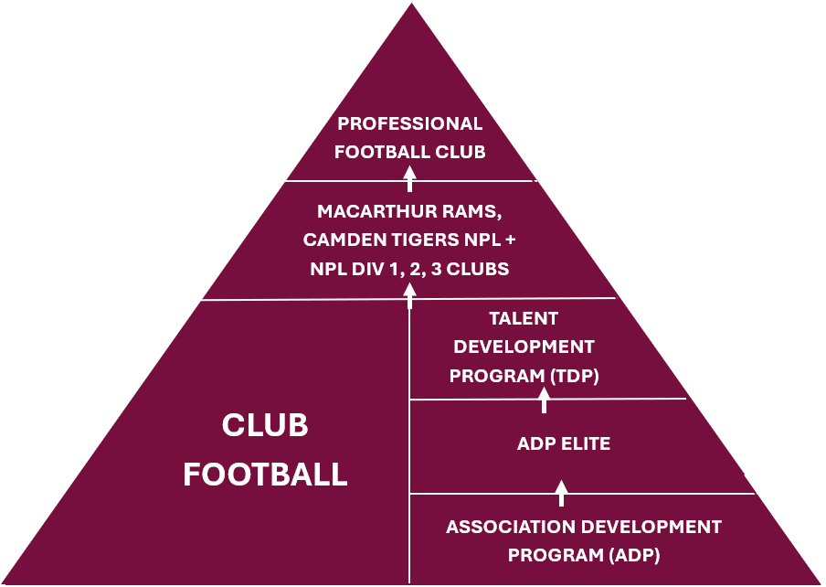 Player Development Pathway Player Development Pathway
