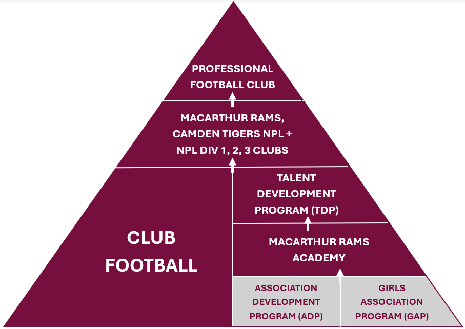 ADP GAP Pathway