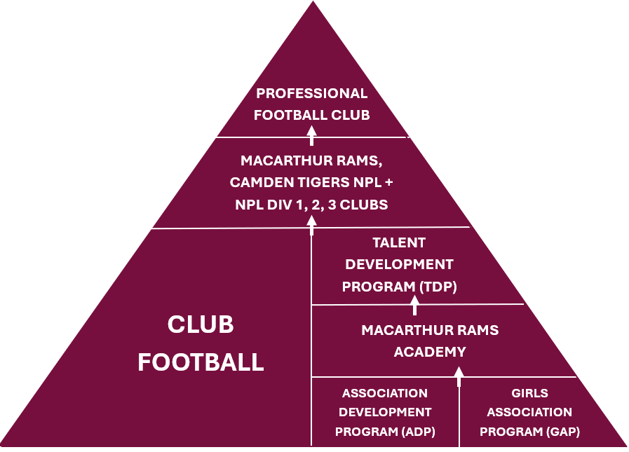 Player Development Pathway (2)