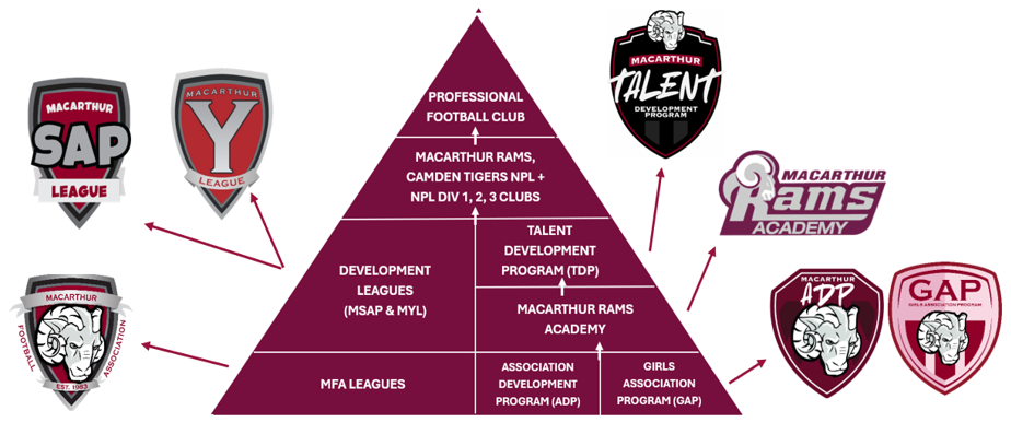 MFA Player Pathways MFA Player Pathways