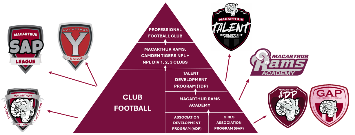 Player Development Pathways Player Development Pathways